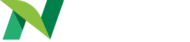 Insolity Logo